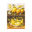 Набор декупажных карт Натюрморты с лимонами, грушами и айвой, 5 листов, формат А3