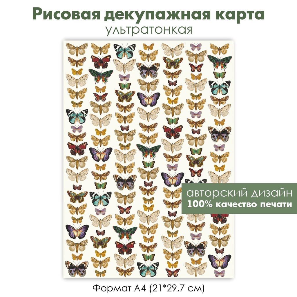 Декупажная рисовая карта Винтажные бабочки, мотыльки, тропические бабочки, формат А4