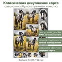 Классическая декупажная карта на бумаге премиум класса Лошади, формат А3