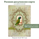 Декупажная рисовая карта циферблат с попугаем, попугай с карандашом, Carpe diem, винтажное кружево, формат А4
