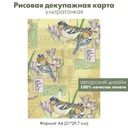 Декупажная рисовая карта Сойка, весенняя птица, крокусы, ноты, формат А4