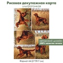 Декупажная рисовая карта Ирландский сеттер, формат А4
