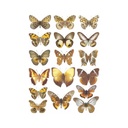 Набор декупажных карт Бабочки и мотыльки, 5 листов, формат А4