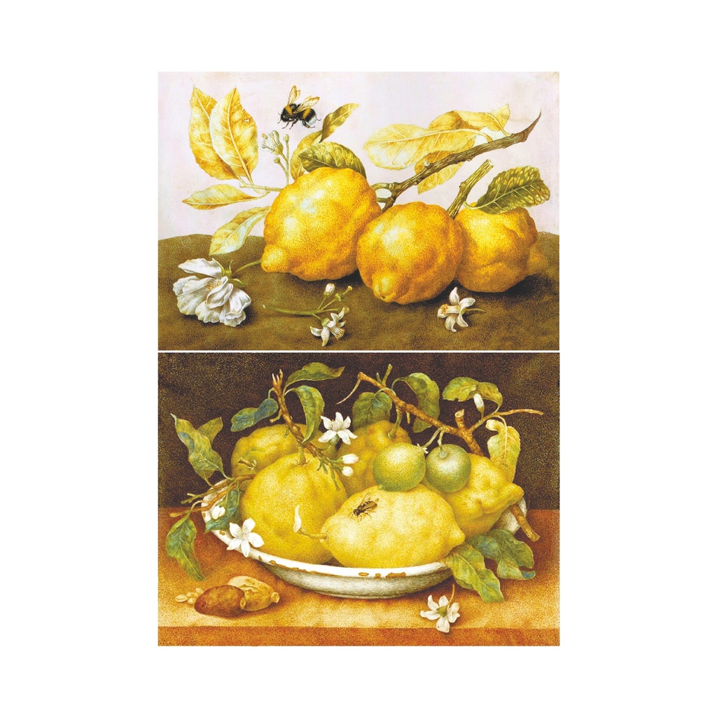 Набор декупажных карт Натюрморты с лимонами, 5 листов, формат А4