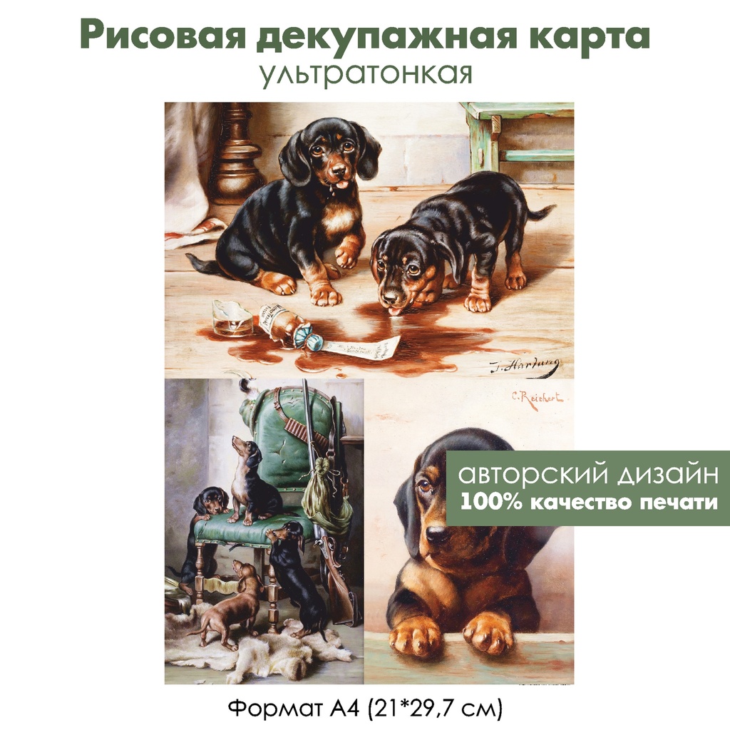 Декупажная рисовая карта Щенки, формат А4