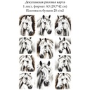 Декупажная рисовая карта Белая лошадь, формат А3