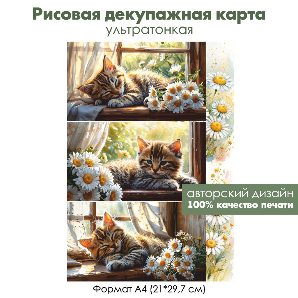 Декупажная рисовая карта Котенок в ромашках, формат А4