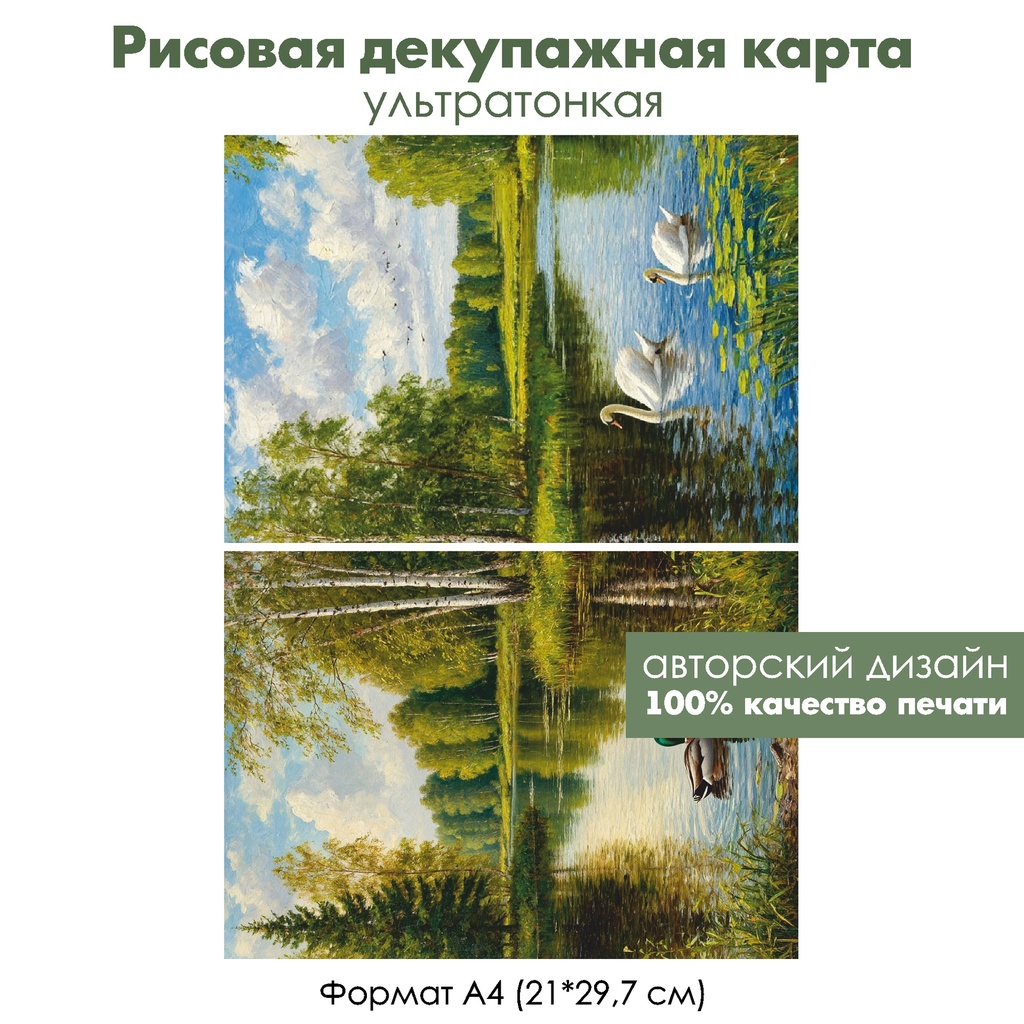 Декупажная рисовая карта Дикие птицы, формат А4