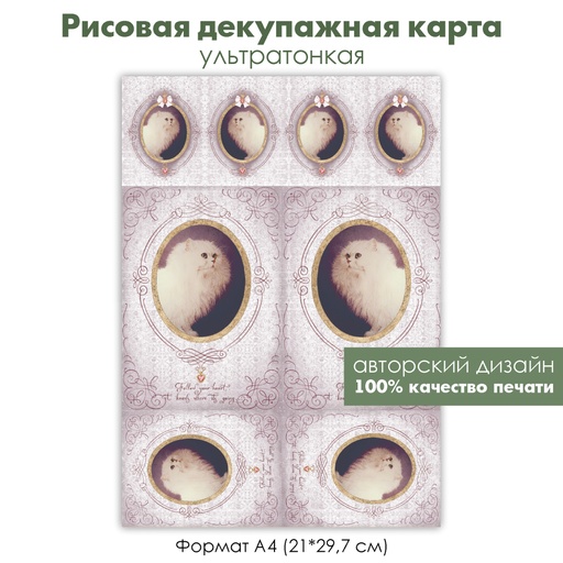Декупажная рисовая карта персидский кот, винтажный портрет кота, виньетки, фон кружево, формат А4