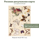 Декупажная рисовая карта Винтажные бабочки, фрукты, гроздь винограда, формат А4