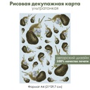 Декупажная рисовая карта Улитки с незабудками, фон винтажный горошек, формат А4