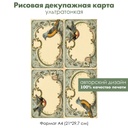 Декупажная рисовая карта Винтажные картинки с птицами, формат А4