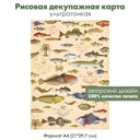 Декупажная рисовая карта Рыбы, улов, трофеи рыбака формат А4