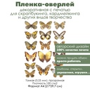 Пленка-оверлей, декоративная пленка с печатью Бабочки и мотыльки, формат А4