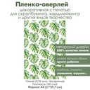 Пленка-оверлей, декоративная пленка с печатью Монстера, формат А4