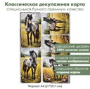 Классическая декупажная карта на бумаге премиум класса Жеребенок, формат А4