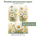 Декупажная рисовая карта Ромашки, формат А4