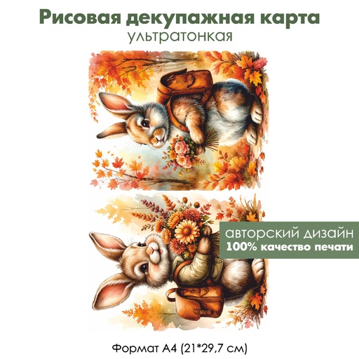 Декупажная рисовая карта Зайка-ученик, формат А4